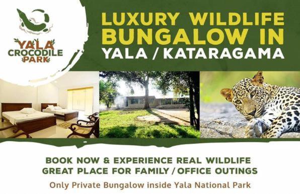 Crocodile Park Bungalow Kataragama Kültér fotó